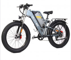 eBIKE GOGO BEST 1000wa