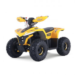 LAMAX_eBumbleBee_ATV60M_product-photo_02_FULL_HD__w600+rF+h600